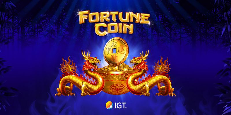Overzicht van NV Online Casino